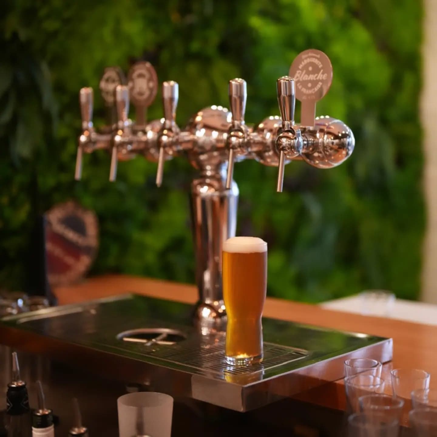Une bière blonde sous la tireuse en inox, devant un mur végétal
